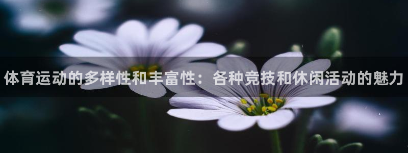 米兰体育官方正版app官方:体育运动的多样性和丰富性:各种竞