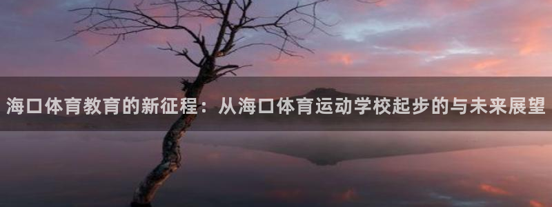 海南米兰体育官网下载:海口体育教育的新征程:从海口体育运动学